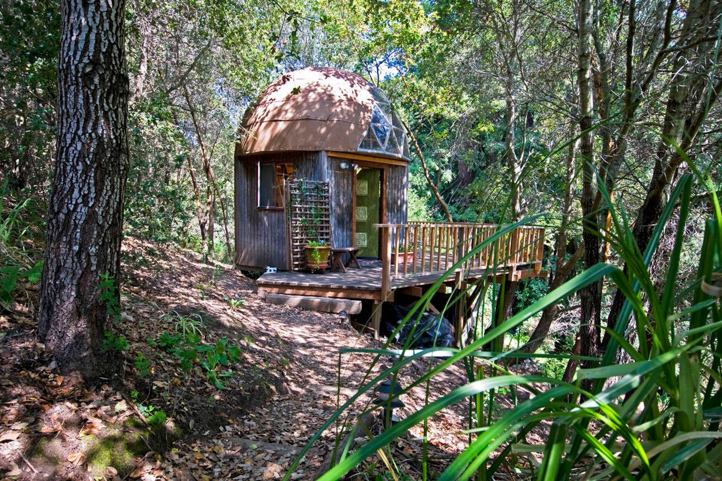 Outside View of mushroom dome cabin